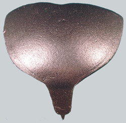 Heel Plate